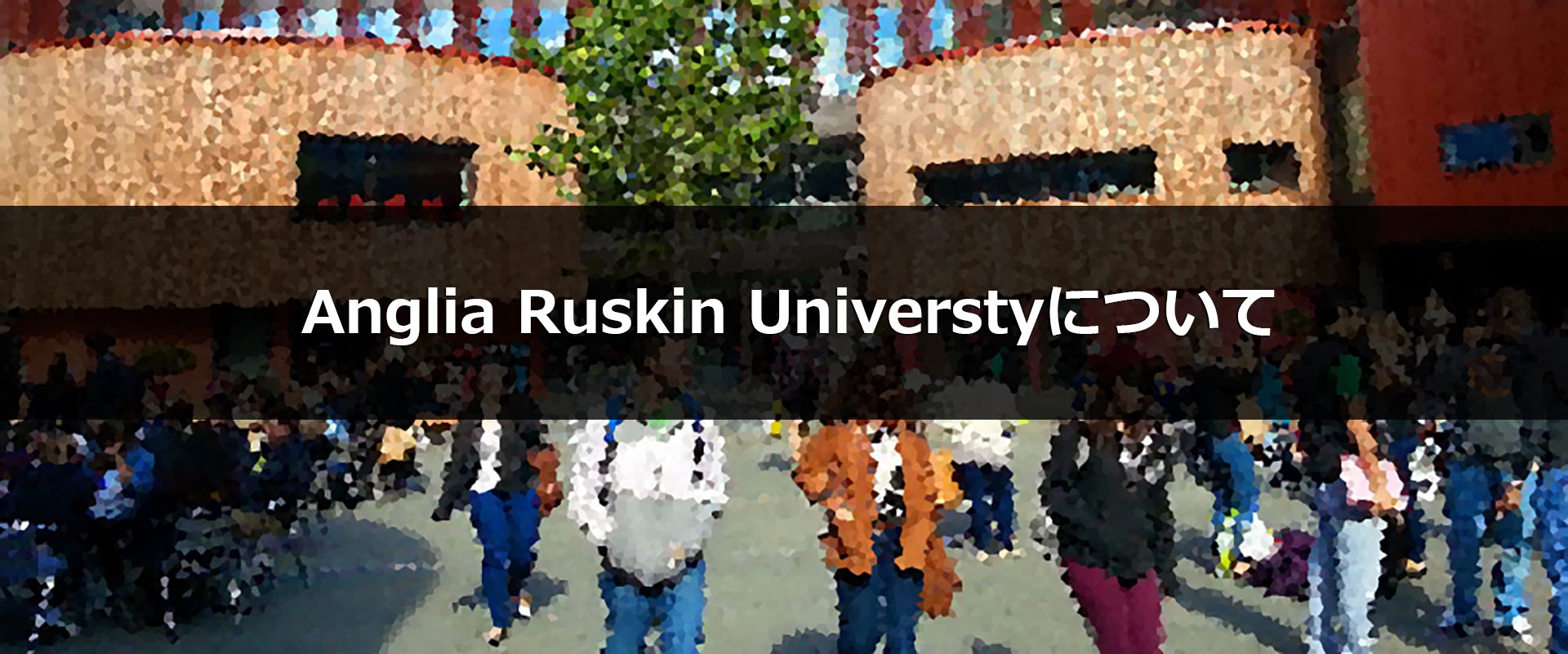 Anglia Ruskin Universityについて